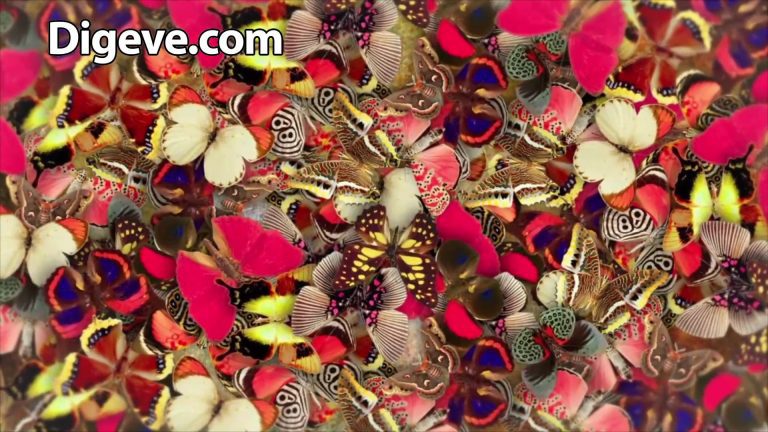 فایل آماده افترافکت لوگو پروانه elegant butterflies