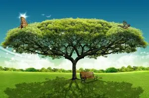 دانلود فایل لایه باز درخت و طبیعت