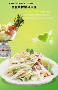 دانلود فایل لایه باز سالاد رژیمی