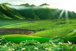 دانلود فایل لایه باز تصویر زمینه طبیعت باکیفیت