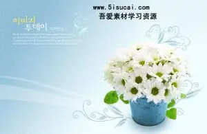 دانلود طرح لایه باز گل بابونه