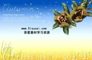دانلود طرح لایه باز درخت فندق