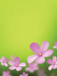 دانلود وکتور لایه باز پوستر گل