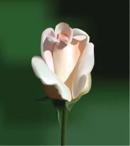 دانلود وکتور لایه باز گل صورتی