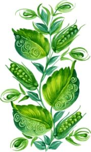 دانلود وکتور لایه باز نقاشی گل و گیاه