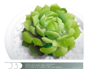 دانلود وکتور لایه باز گیاه ساکولنت