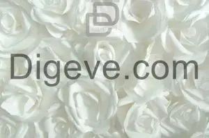 عکس با کیفیت گل کاغذی