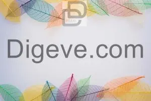 عکس با کیفیت قاب یا فریم برگ های رنگارنگ
