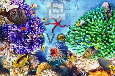 عکس با کیفیت دنیای شگفت انگیز و زیبای زیر آب