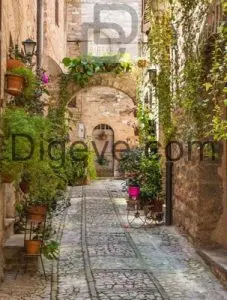 عکس با کیفیت خیابان با طاق سنگی تزئین شده با گیاهان