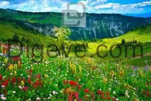 عکس با کیفیت بکگراند کوهستان سرسبز