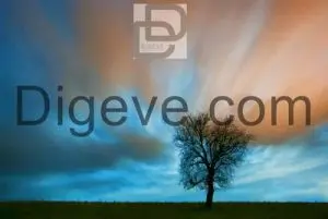 عکس با کیفیت درخت تنها در مزرعه در طلوع آفتاب