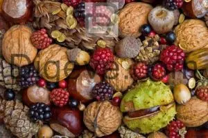 دانلود عکس با کیفیت میوه و خشکبار