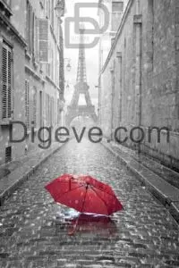 دانلود عکس با کیفیت سیاه و سفید برج ایفل