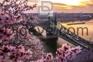 دانلود عکس با کیفیت برج ایفل