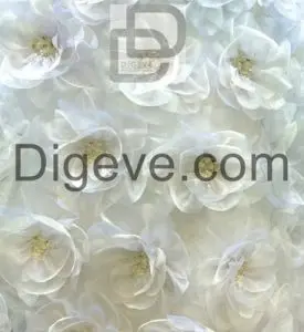 عکس با کیفیت گل های سفید