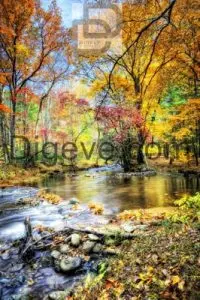 دانلود عکس با کیفیت طبیعت زیبای پاییزی