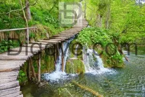 عکس با کیفیت مسیر پیاده روی تخته با آبشار