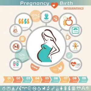 دانلود وکتور لایه باز اینفوگرافی بارداری و تولد