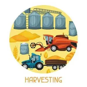 دانلود طرح لایه باز لیبل و برچسب دایره‌ای محصولات کشاورزی با مفهوم برداشت و فرآوری غلات