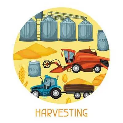 دانلود طرح لایه باز لیبل و برچسب دایره‌ای محصولات کشاورزی با مفهوم برداشت و فرآوری غلات