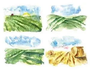 دانلود طرح لایه باز مناظر آبرنگی مزرعه و مزارع سبز