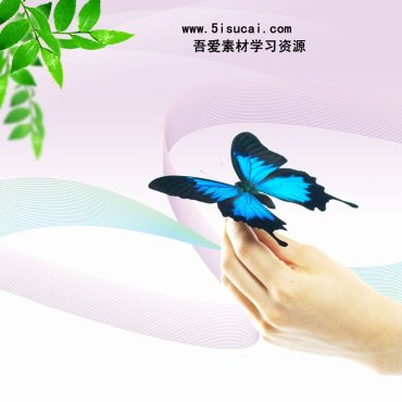 دانلود طرح لایه باز پروانه آبی بر روی دست