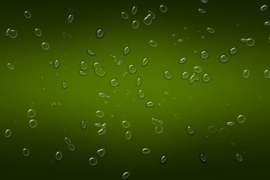 دانلود طرح لایه باز قطرات باران روی بکگراند سبز