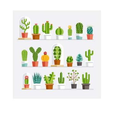 دانلود وکتور لایه باز انواع کاکتوس Cactus