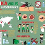 دانلود وکتور لایه باز اینفوگرافی زیکاویروس ZIKAVIRUS INFOGRAPHIC