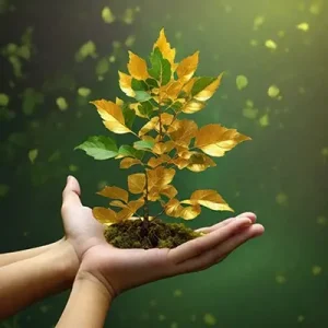 دانلود عکس با کیفیت نهال نوپا