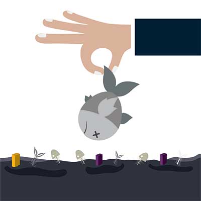 دانلود وکتور لایه‌ باز آلودگی نفت ، مرگ آبزیان ناشی از نشت مواد سمی