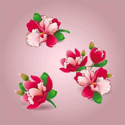 دانلود طرح لایه باز مجموعه گل تزئینی